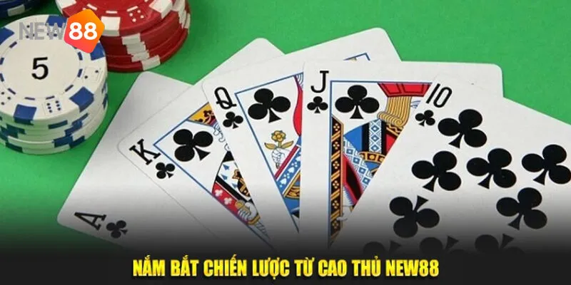 Mậu Binh New88 - Khám Phá Game Bài Đổi Thưởng Số 1 4 Các Chương Trình Khuyến Mãi Mậu Binh New88 Hấp Dẫn 2025