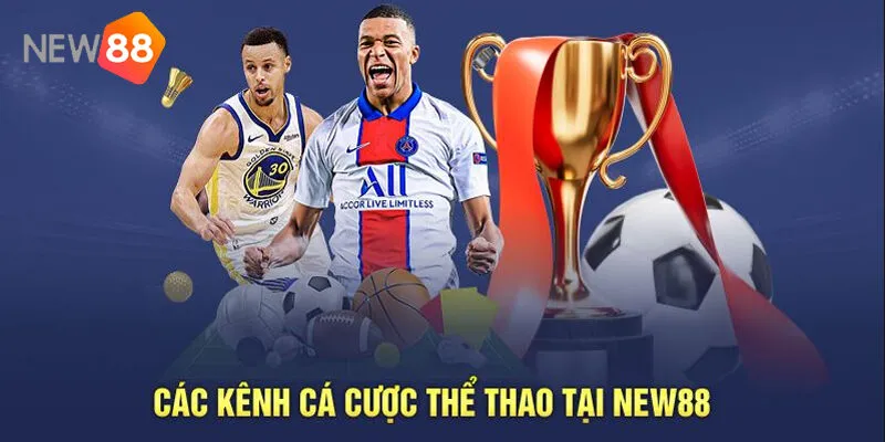 Thể Thao New88 – Sân Chơi Cá Cược Đẳng Cấp 2025 4 Hướng Dẫn Đăng Ký – Nạp Rút – Đặt Cược Cho Người Mới