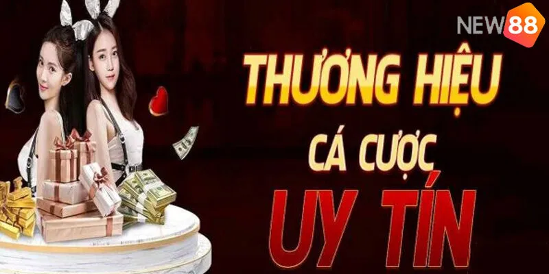 New88 Có Uy Tín Không - Phân Tích Từ Chuyên Gia Cá Cược 2 New88 Có Uy Tín Không - Chuyên Gia Phân Tích Đa Chiều
