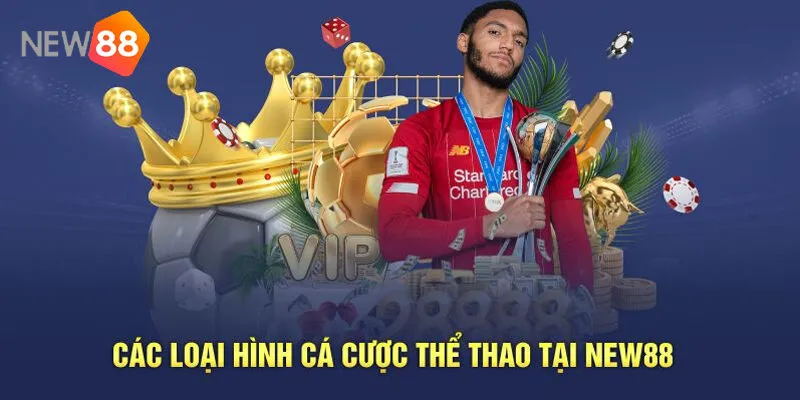 Thể Thao New88 – Sân Chơi Cá Cược Đẳng Cấp 2025 3 Sảnh Thể Thao New88 Đa Dạng – Mỗi Ngày Một Trải Nghiệm Mới