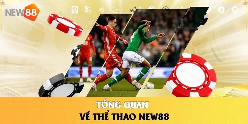 Sảnh Thể Thao NEW88 - Nơi Quy Tụ Của Các Giải Đấu Lớn 2 Tổng quan về Thể Thao NEW88