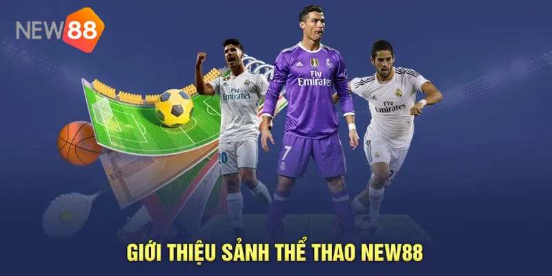 Thể Thao New88 – Sân Chơi Cá Cược Đẳng Cấp 2025 2 Vì Sao Thể Thao New88 Là Lựa Chọn Sáng Giá Của Hàng Triệu Người Chơi?